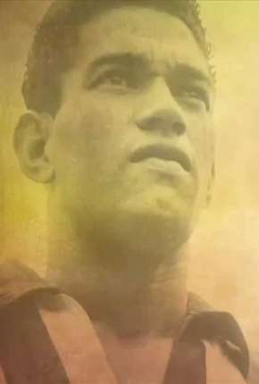 O Mito de Garrincha Download