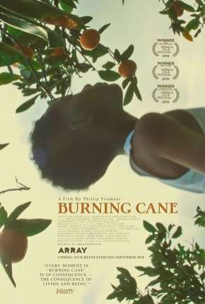 Burning Cane - Legendado Download