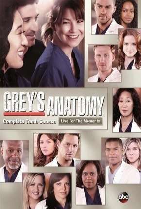 Greys Anatomy - 10ª Temporada - Completa Download