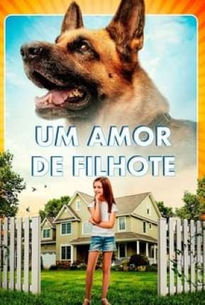 Um Amor de Filhote Download