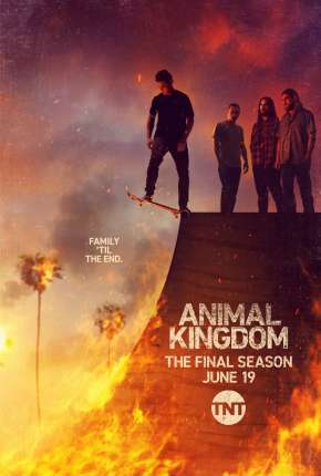 Animal Kingdom - 5ª Temporada Legendada Download