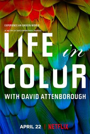 Life In Colour - 1ª Temporada Completa Download