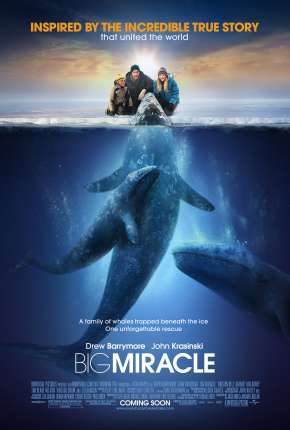 O Grande Milagre - Big Miracle Download