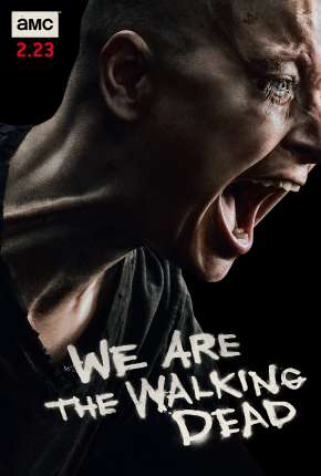 The Walking Dead - 11ª Temporada Download