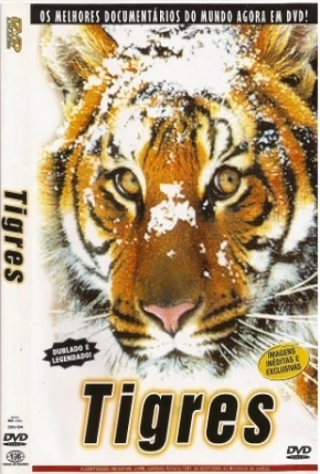 Tigres / Na Sombra do Tigre Download