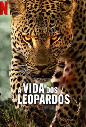 A Vida dos Leopardos Download Torrent
