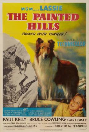 Lassie - Heróis da Montanha Download